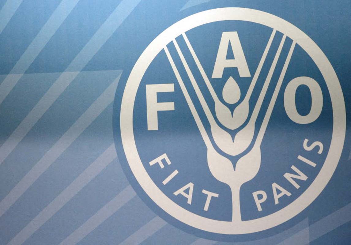 FAO Chief Warns Hormuz Disruption Could Threaten Global Food Supply Chains